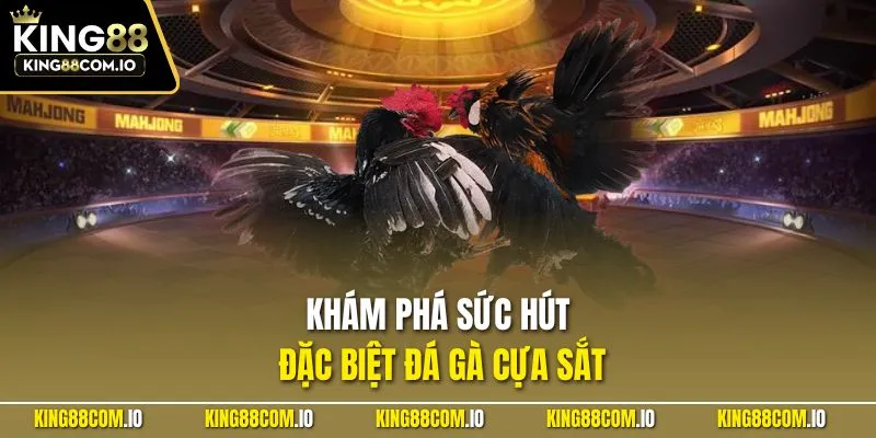 Khám phá sức hút đặc biệt đá gà cựa sắt