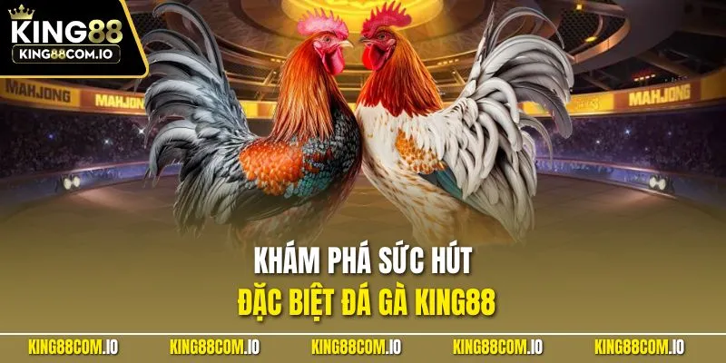 Khám phá sức hút đặc biệt đá gà KING88